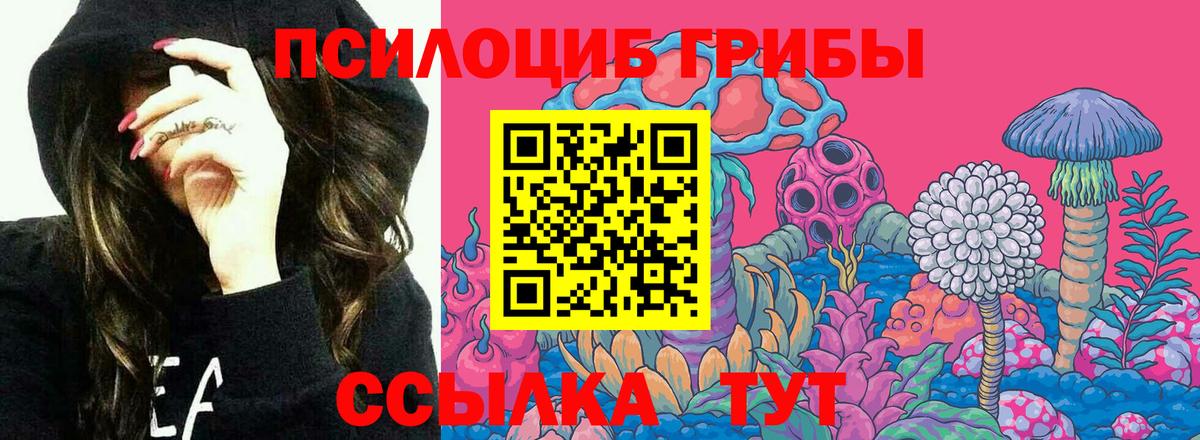 Галлюциногенные грибы Cubensis Новоалтайск