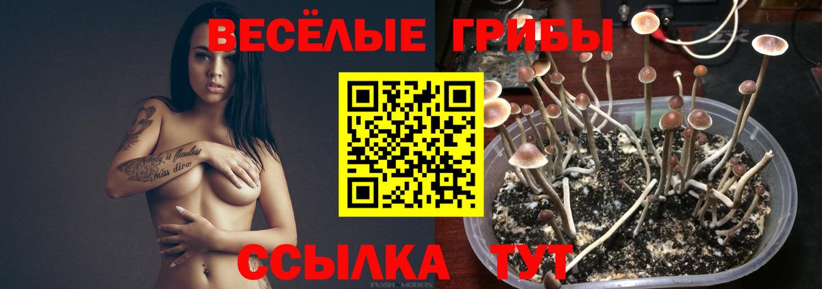 Новоалтайск  Галлюциногенные грибы Magic Shrooms  Вход с VPN 